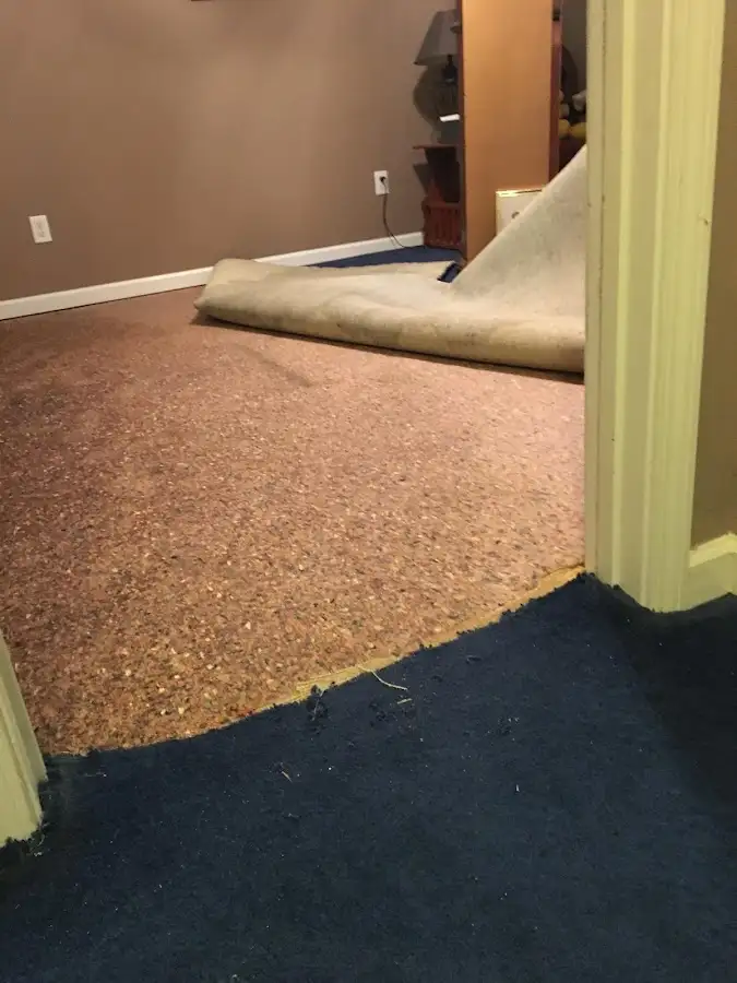 Carpet pad removal revealing water damage during Water Mitigation Services in Brazil