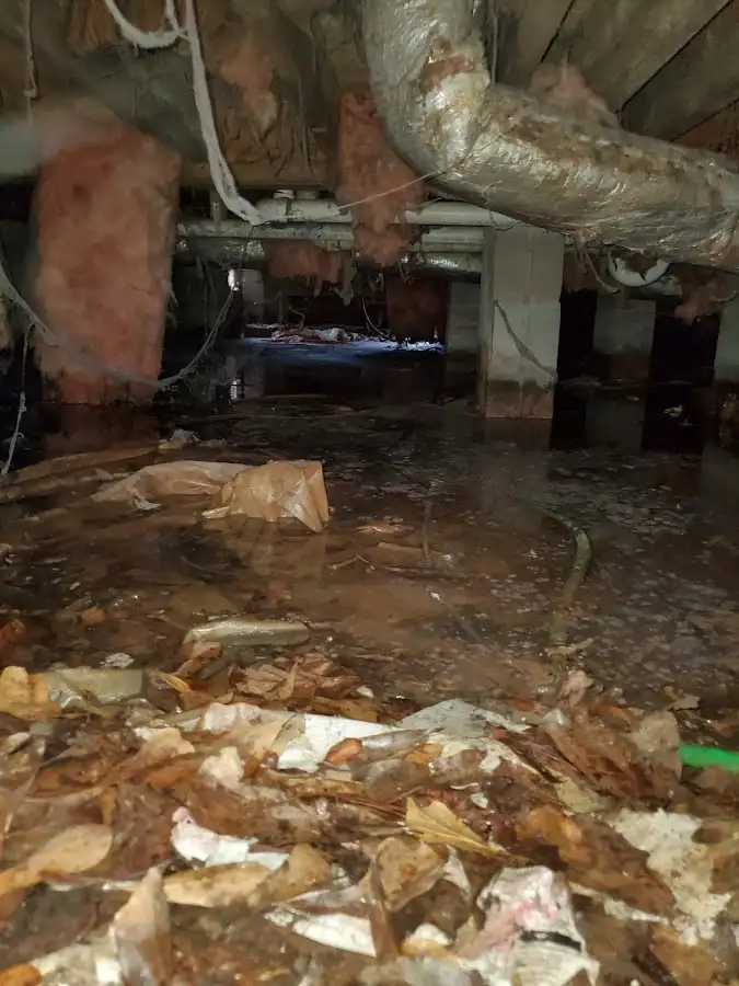 Crawl space flood assessment for Leak Detection & Repair in Brazil